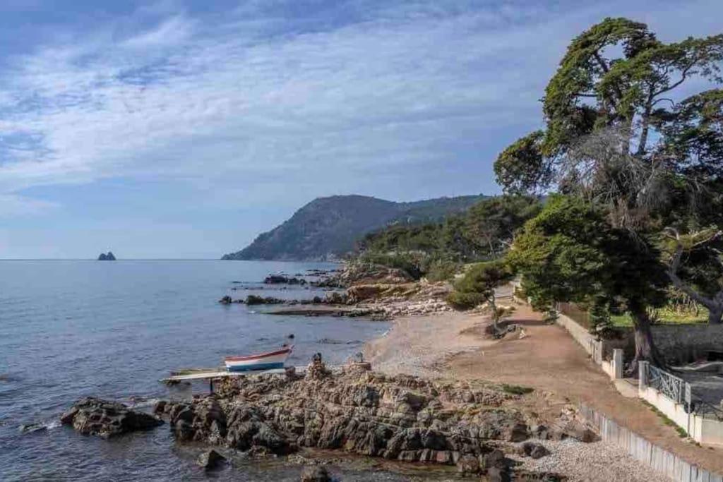 Le Criotto Apartment La Seyne-sur-Mer Bagian luar foto