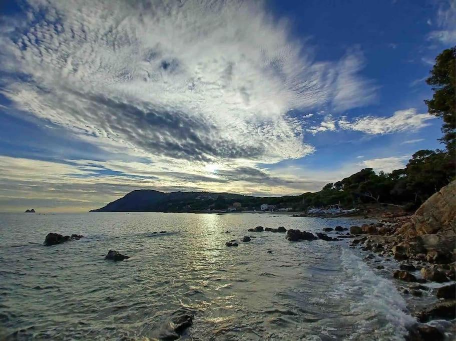 Le Criotto Apartment La Seyne-sur-Mer Bagian luar foto